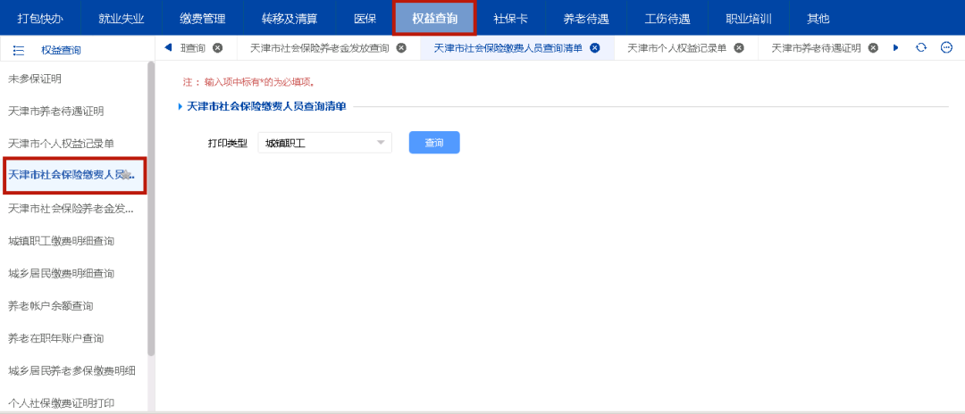 个人网厅全新改版!操作指南请您收好——权益查询篇