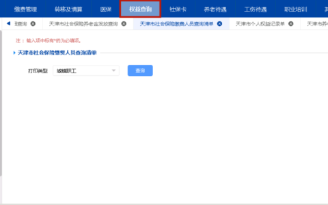 个人网厅全新改版！操作指南请您收好——权益查询篇