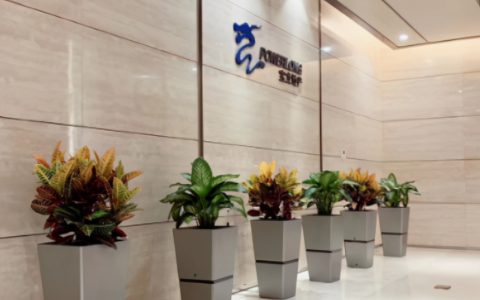 绿植采购合同怎么写，办公室租花一般多少钱？