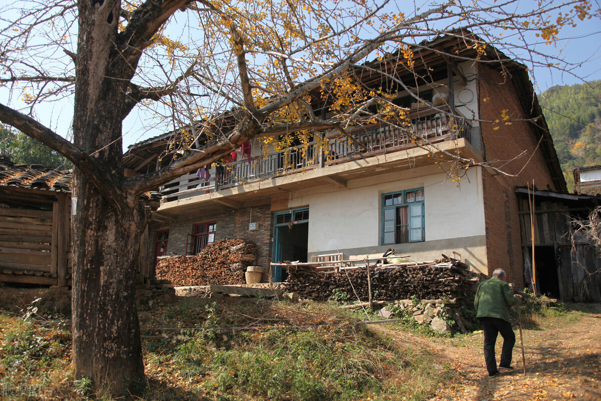 农村集体土地上房屋拆迁补偿的依据