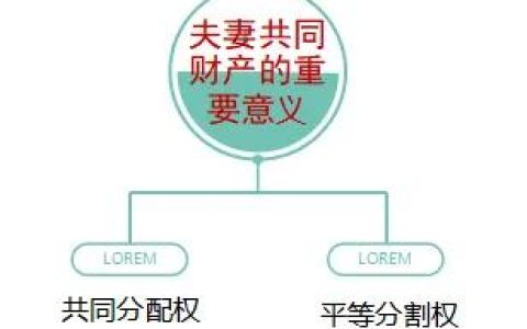 知识重点：婚姻法