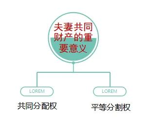 知识重点：婚姻法