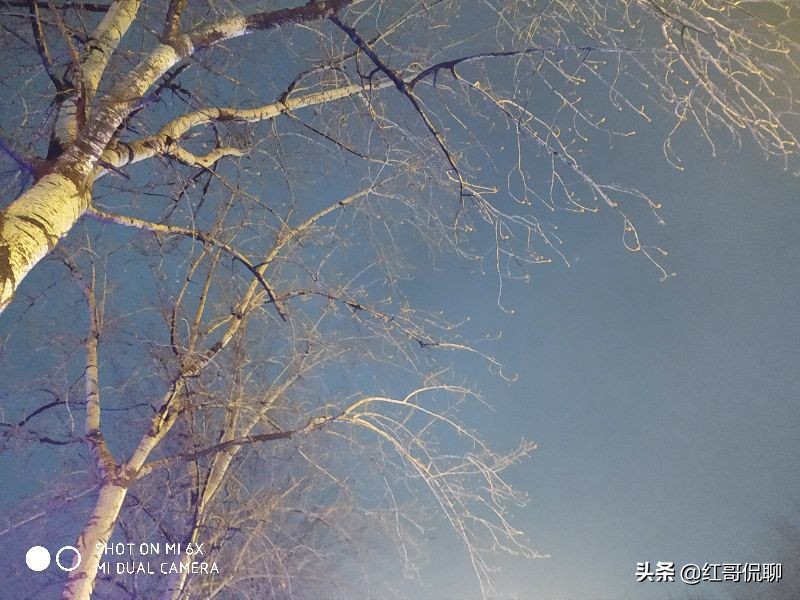 红哥法语：公休假是如何规定休假天数的？