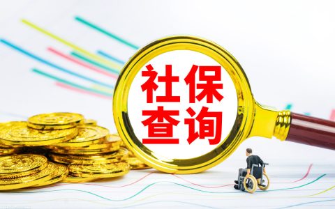 个人社保积分怎么查询及12333社保查询网官网app