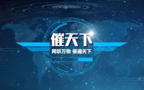 反担保方式有哪些及反担保通俗解释