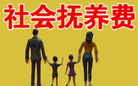 2021社会抚养费的征收标准