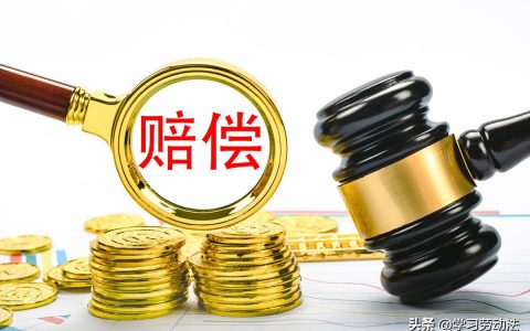 《劳动合同法》中“赔偿金”与“赔偿责任”辨析