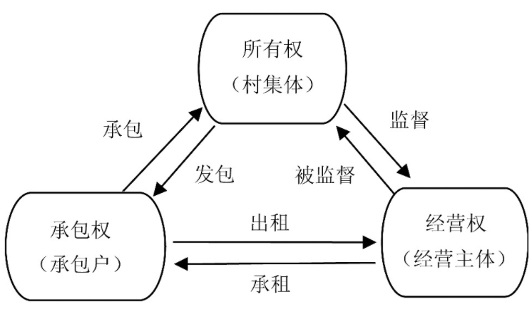 宅基地“三权分置”改革:制度创新、功能探究与建构方略