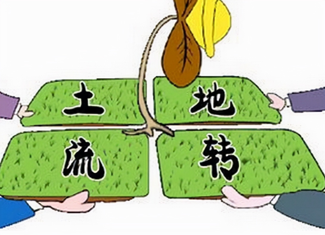 流转土地国家也有补贴，不知道这个政策，分分钟损失上万元
