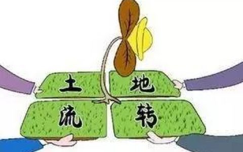 什么是土地流转？土地流转的模式是什么？