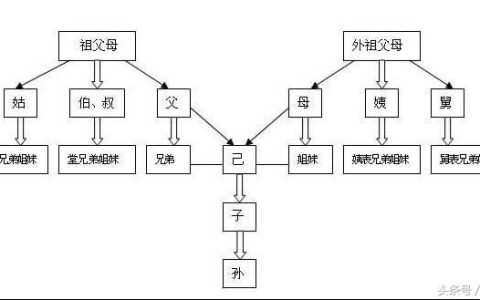 三代以内旁系血亲的范围有哪些？