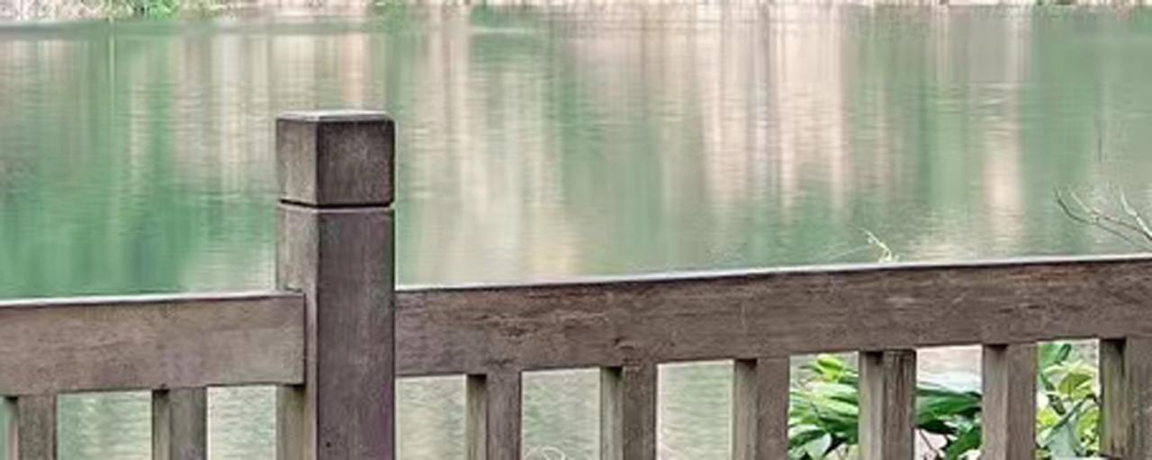 被委托人及论证
