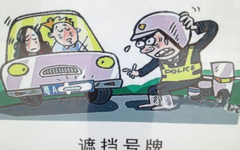 机动车号牌安装有什么规定