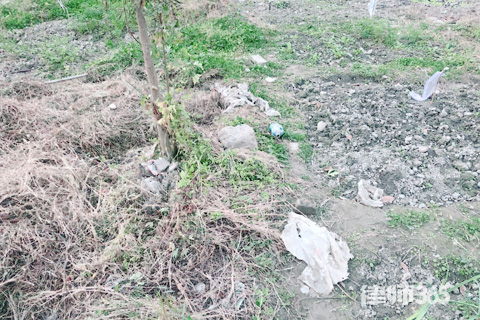 土地使用证如何过户？过户费用有哪些？