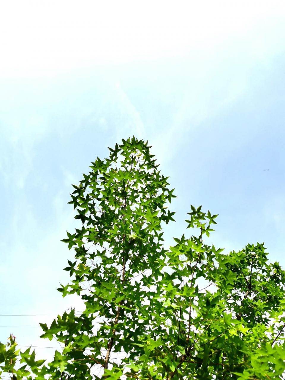交通事故赔偿