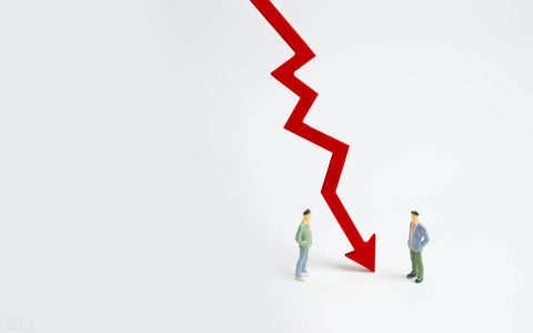法人代表任命书范本