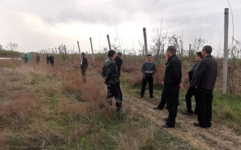 庆阳正宁法院执结一起涉52户农民土地流转合同纠纷，为春耕保驾护航