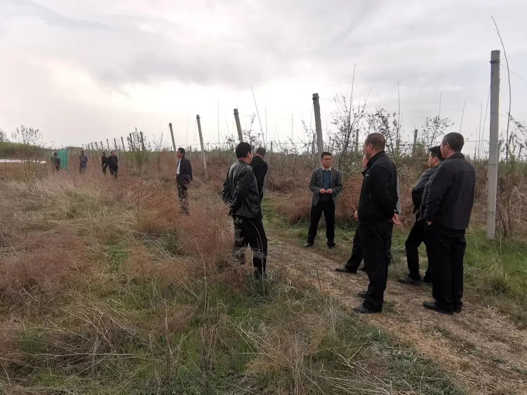 庆阳正宁法院执结一起涉52户农民土地流转合同纠纷，为春耕保驾护航