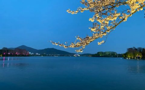 保险法第十七条：保险合同订立过程中保险人的提示、明确说明义务