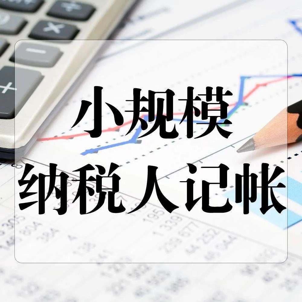 一般纳税人和小规模纳税人企业的报税流程