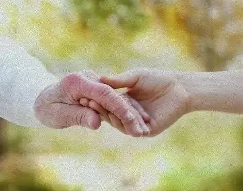 瘫痪老人被儿子“丢”在法庭……