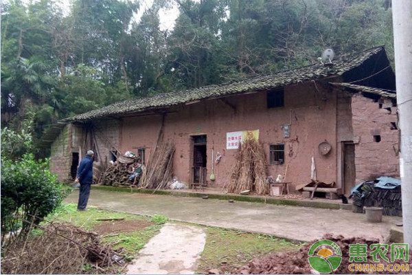 宅基地三权分置是什么意思？宅基地三权分置指的是哪三权？