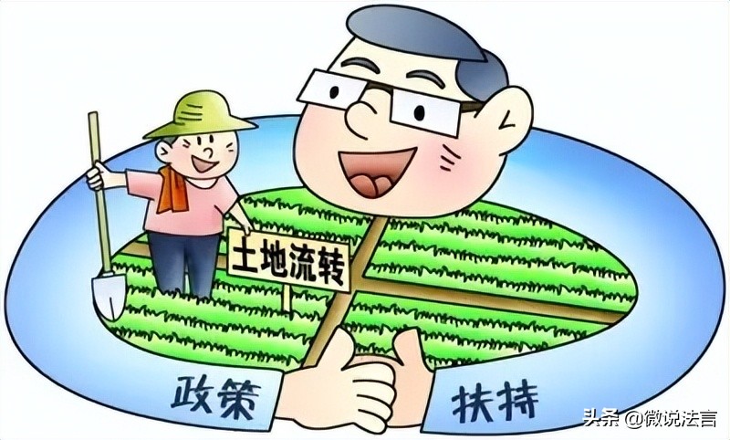 农村荒山承包权合同的效力及转让的问题分析