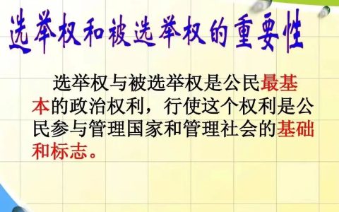 《大家说法》—(137)关注《选举法》