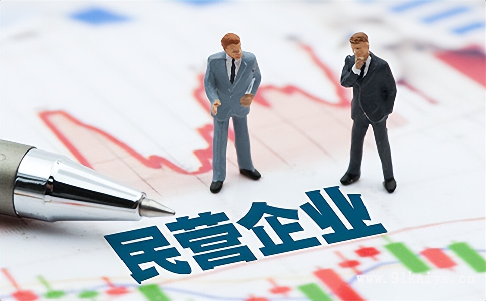 关于私营企业是指什么意思