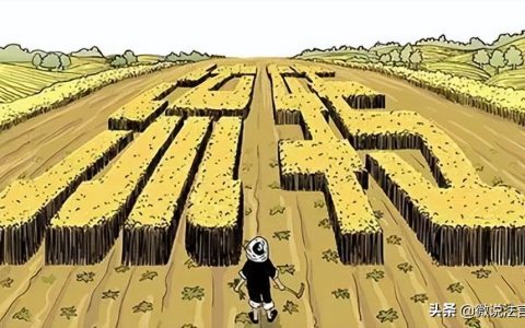 农村荒山承包权合同的效力及转让的问题分析