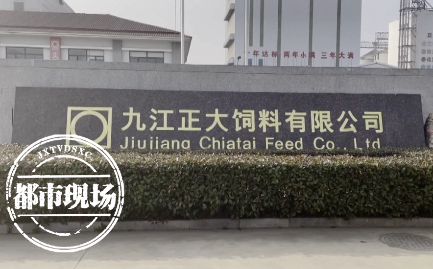 怀孕期间遭辞退，女子表示不接受！劳动监察部门：企业涉嫌违法