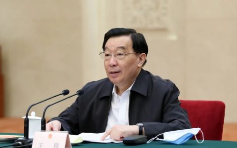 王晨谈选举法修改