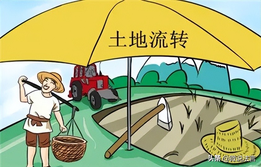 农村荒山承包权合同的效力及转让的问题分析