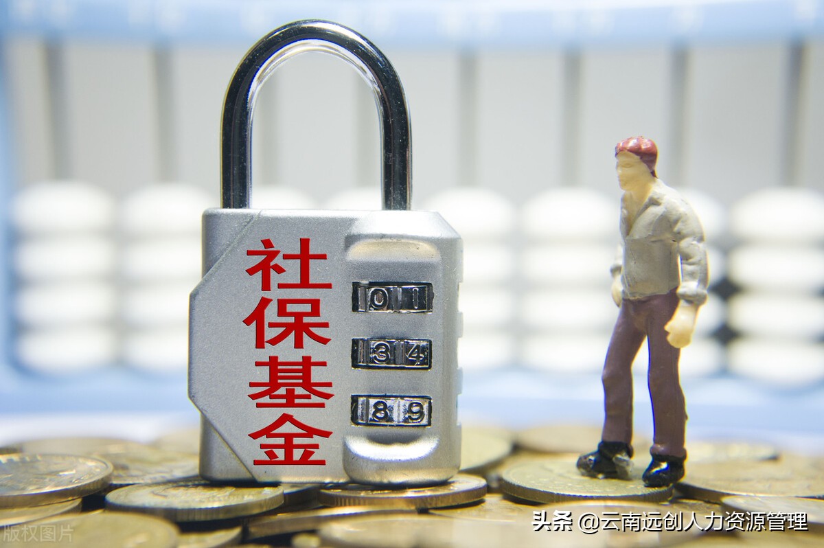 社会保险和五险一金的区别是什么?哪些人免交社保?