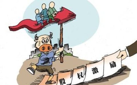 什么是股权激励 股权激励是什么意思