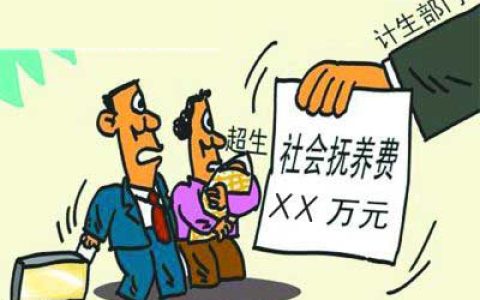什么是社会抚养费，社会抚养费该交多少钱……