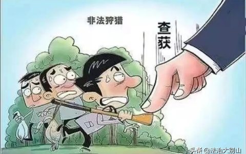 贪吃猎“鸟”，反被法“网”—英山县法院依法审理一起非法狩猎、非法持有枪支案件