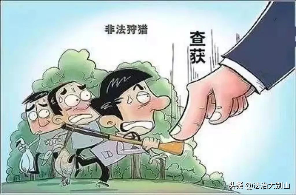贪吃猎“鸟”，反被法“网”—英山县法院依法审理一起非法狩猎、非法持有枪支案件