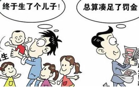 社会抚养费具体是指什么？