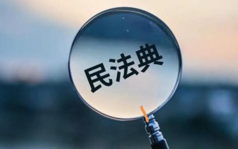 《民法典》第22条 限制民事行为能力成年人详解