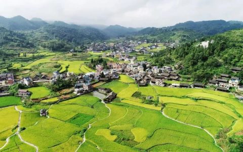 征收拆迁中的“过渡安置费”是怎么算的？这笔补偿款你拿到了吗