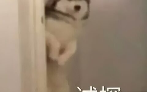 手头紧，社保卡上的余额可以提取吗？