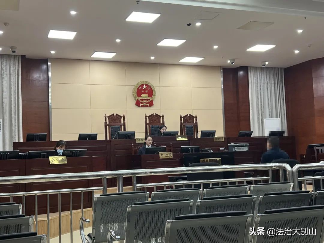 贪吃猎“鸟”，反被法“网”—英山县法院依法审理一起非法狩猎、非法持有枪支案件