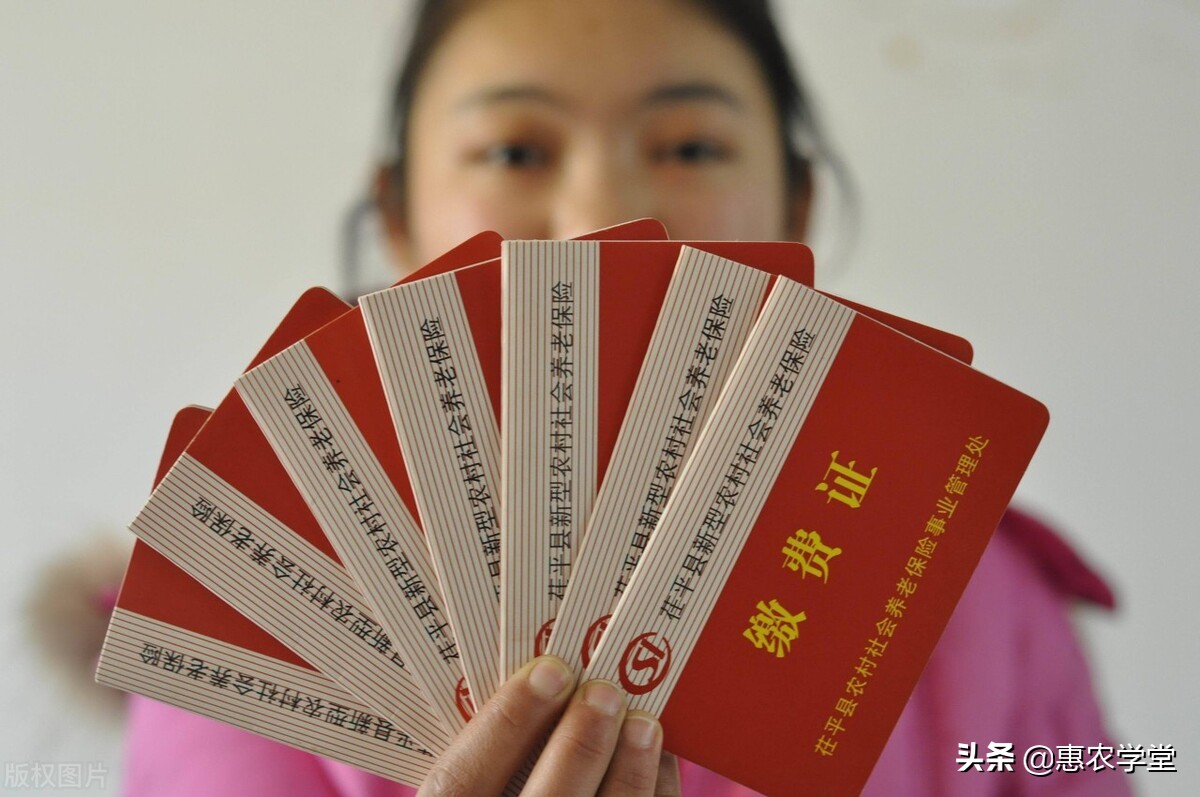 农村养老保险分为几档？一年交5000元每月能领多少钱？一文解读
