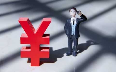 有限公司的债务怎样承担