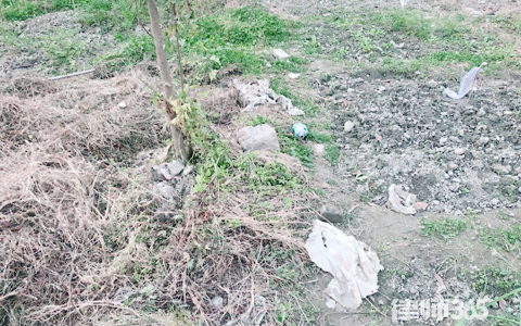 土地使用证如何过户？过户费用有哪些？