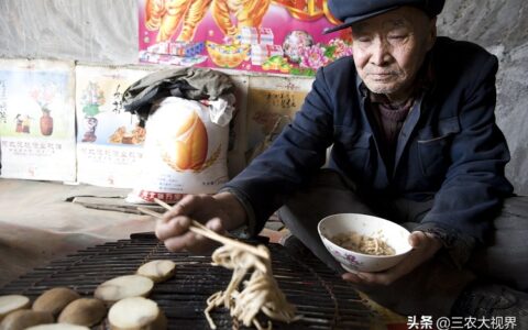 五保户和低保户的区别及2025年低保户最新政策