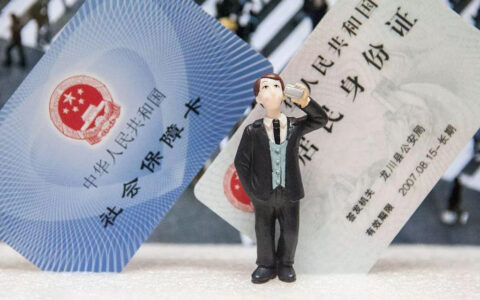 参保人缴费信息定制及定制社保缴费记录