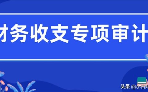 财务收支审计报告模板及最新财务审计报告格式