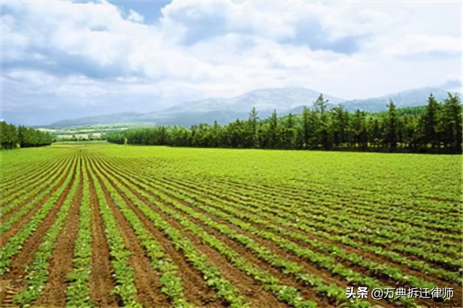 土地征收必须遵守这12个规定流程，否则可构成程序违法
